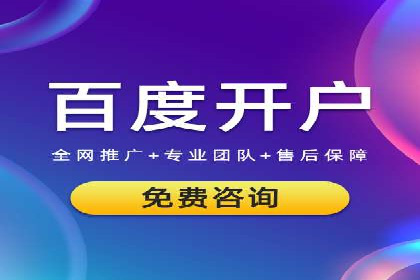 视频教程：通过SEM推广实现快速引流